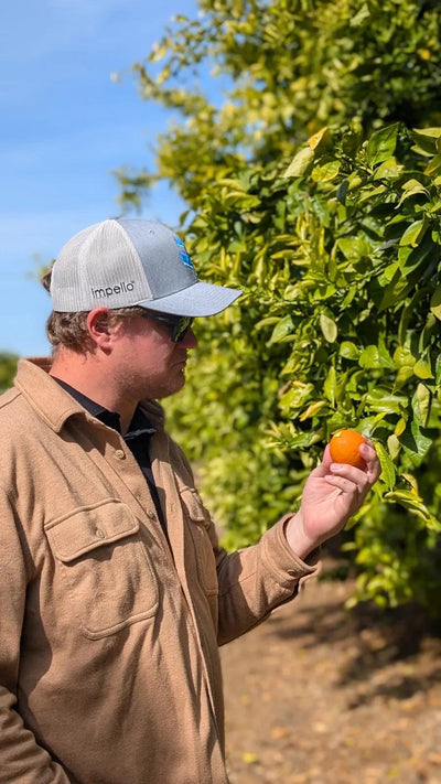 Impello Agronomy Newsletter: May 2025 Edition