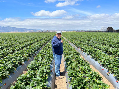Impello Agronomy Newsletter: February 2025 Edition